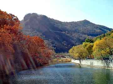 管家婆黑白马报图库，油酸价格